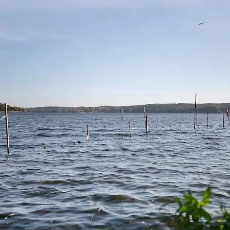 Feriehus Tiny House Nr 1 Schwielowsee