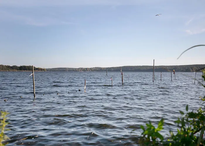 Prázdninový dům Tiny House Nr 1 Schwielowsee